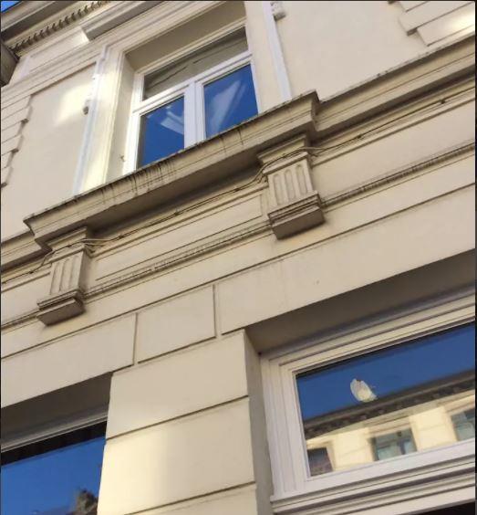 Bohemian House Bed & Breakfast Anvers Dış mekan fotoğraf